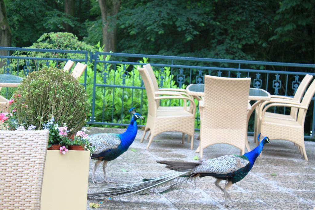 Akzent Hotel Hoxberg Beckum Esterno foto